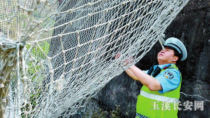 ���ΰ����Ծ��ѵ���������������