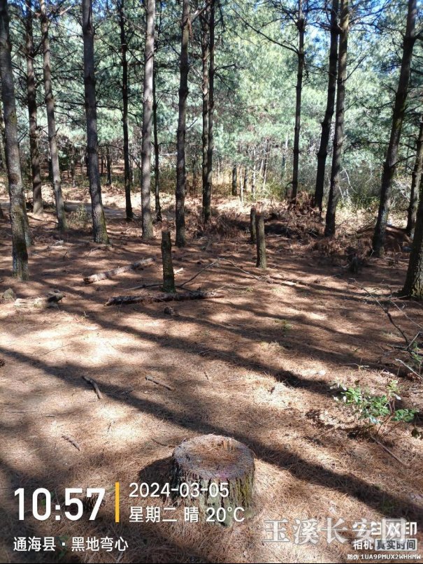 clipbord_1748422726964